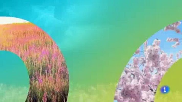 Telenorte - País Vasco - El tiempo en el País Vasco - 11/04/19