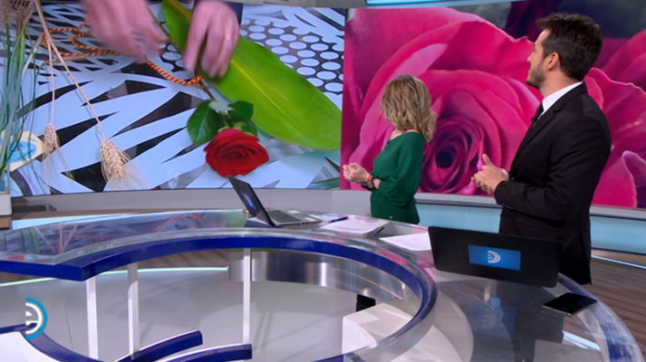 España Directo - España Directo - 11/04/19