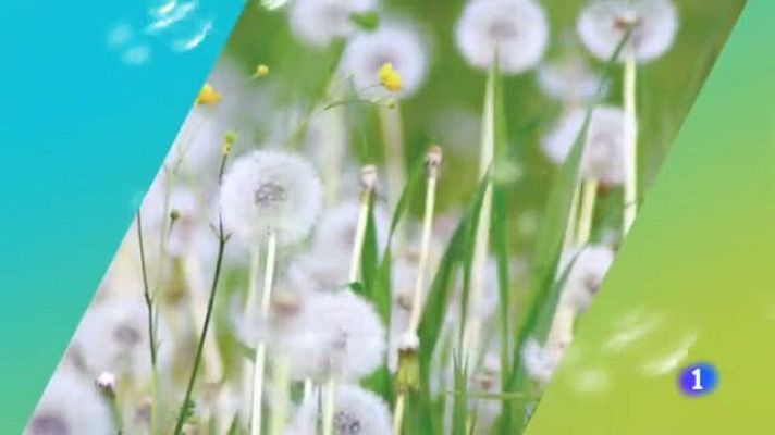 TeleCantabria - El tiempo en Cantabria - 12/04/19