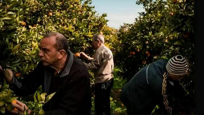 La tarde en 24h - La tarde en 24 horas - La Barra - Cultura Futura - 12/04/19