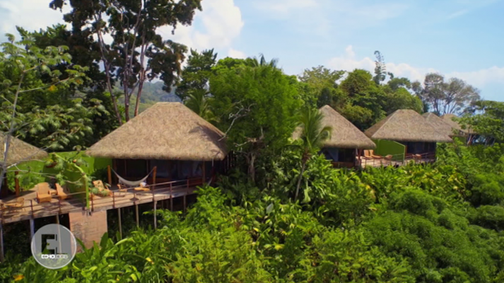 Construcciones ecológicas: En el corazón de la selva