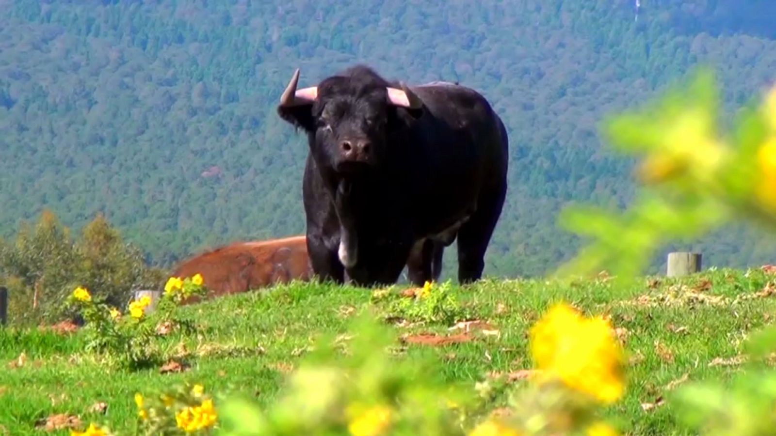 Tendido Cero - 13/04/19