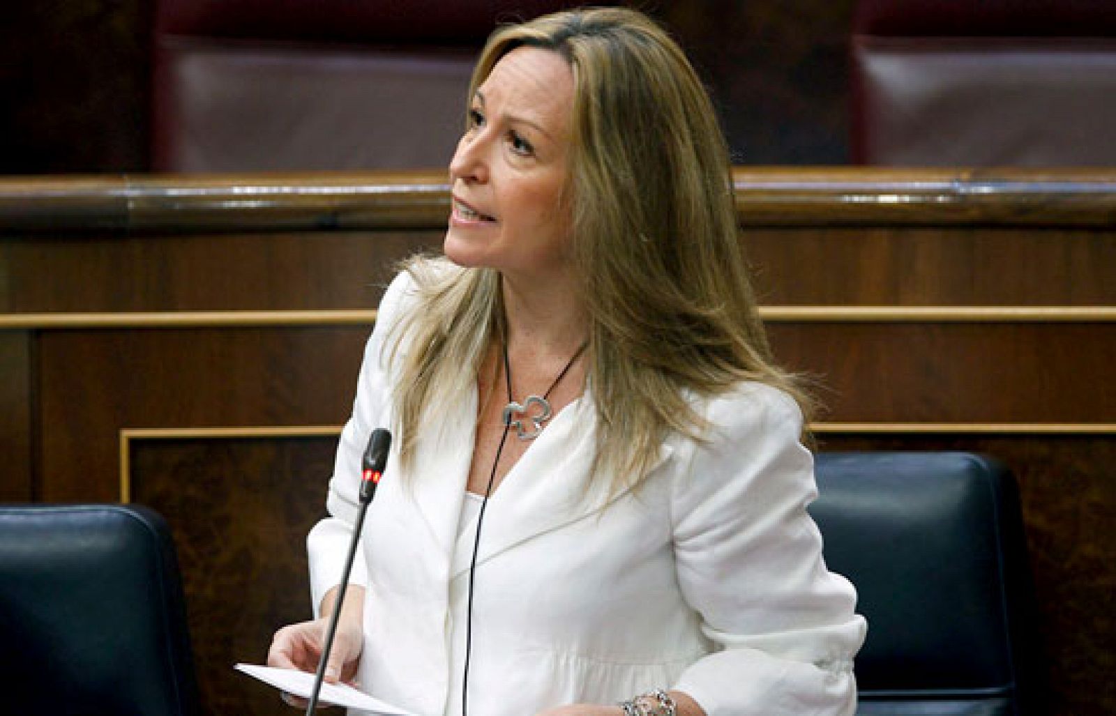 Los grupos minoritarios critican la gestión del brote de Gripe A en Hoyo de Manzanares - Ciencia y tecnología en Rtve.es | Ver