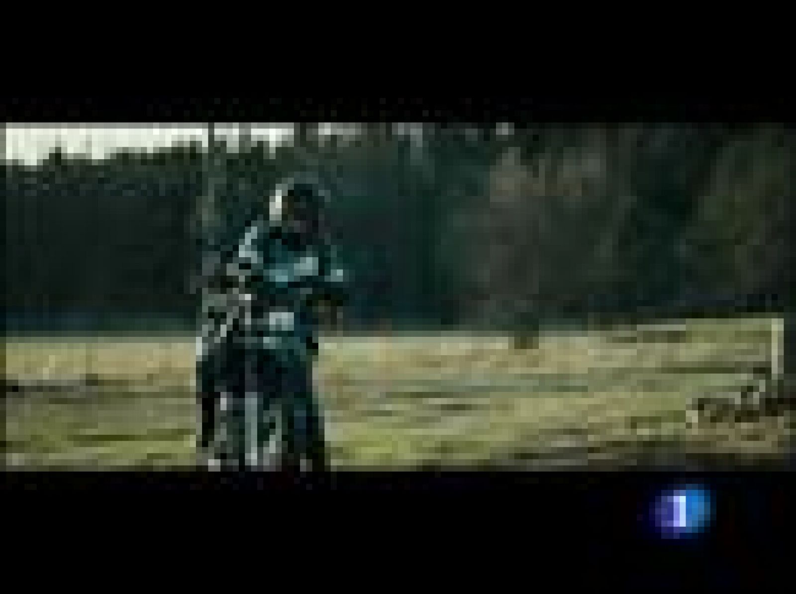 Más de trece millones de personas han leído la trilogía Millenium del sueco Stieg Larsson | Ver