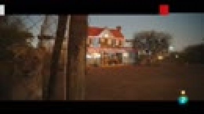 Días de cine - 'Mia y el león blanco'