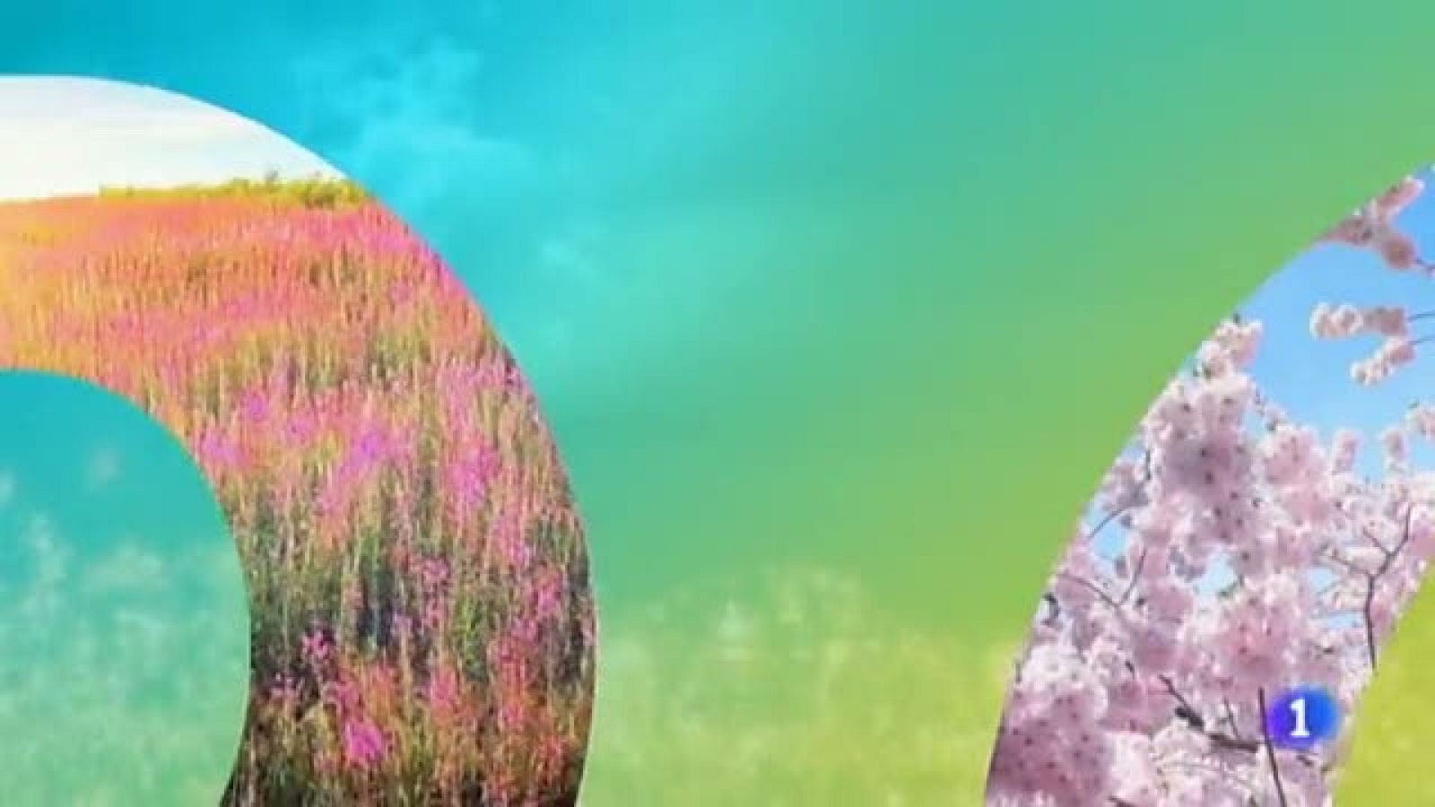 Noticias Murcia:  El Tiempo en la Region de Murcia - 15/04/2019 | RTVE Play