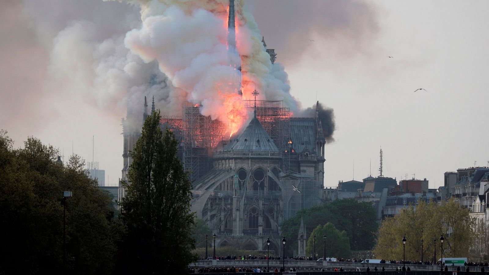 Incendio en Notredame | Un incendio devasta la catedral de Notre Dame en París