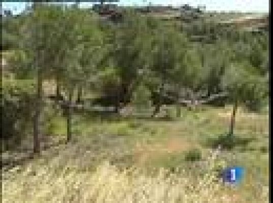  - La niña desaparecida ha muerto