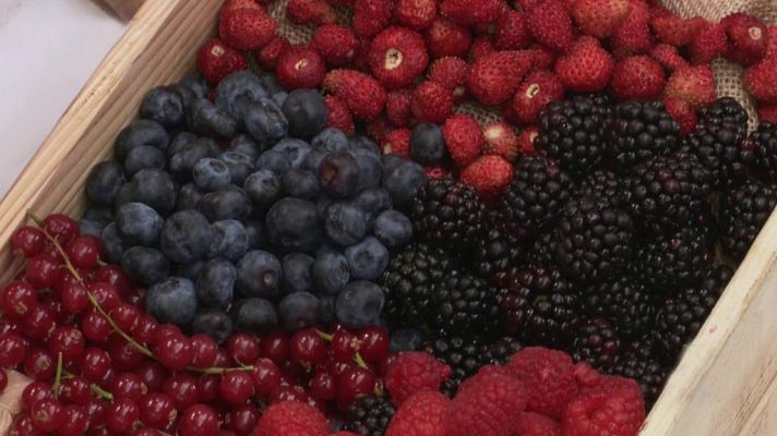 Hacer de comer - Cardo con ajoblanco. Magret de pato