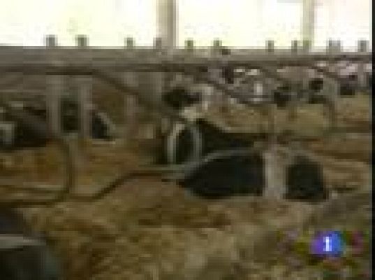 Telexornal - Galicia - Telexornal - 28/05/09