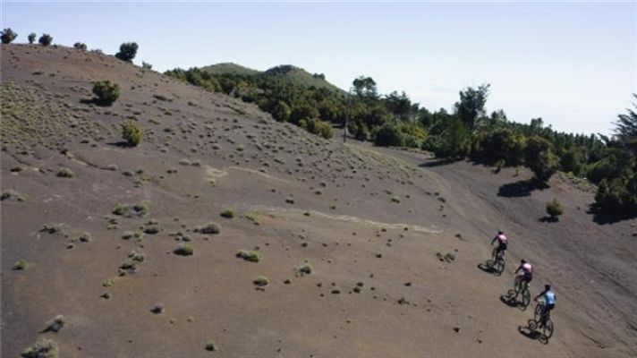 Telecanarias - Deportes Canarias - 17/04/2019