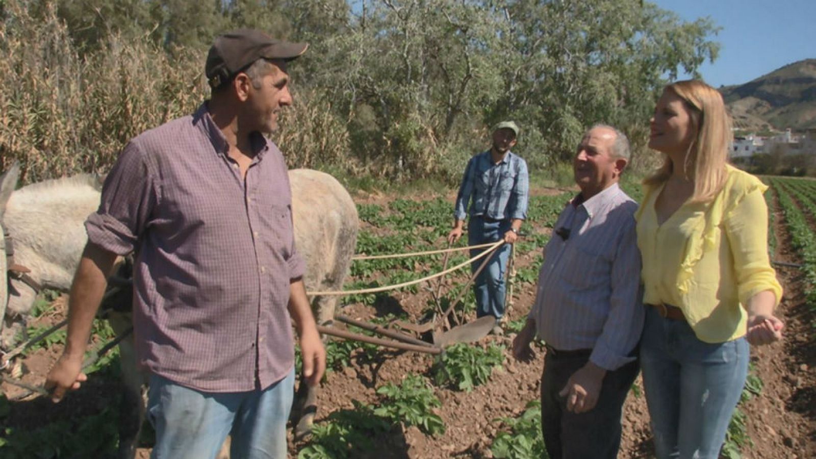 Aquí la Tierra: El Granao, el ruiseñor de Álora | RTVE Play