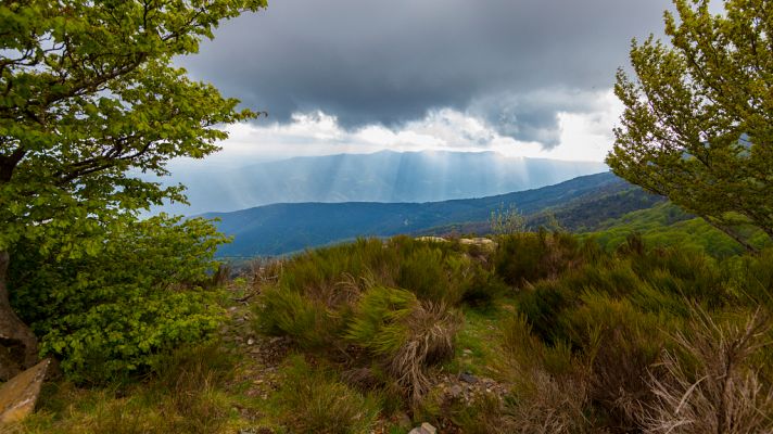 Precipitaciones fuertes, viento fuerte y temperaturas diurnas en descenso