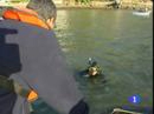 Telexornal - Galicia - Telexornal - 29/05/09