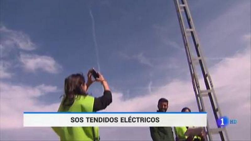 33.000 aves rapaces mueren cada año en España electrocutadas por los tendidos eléctricos - Ver ahora