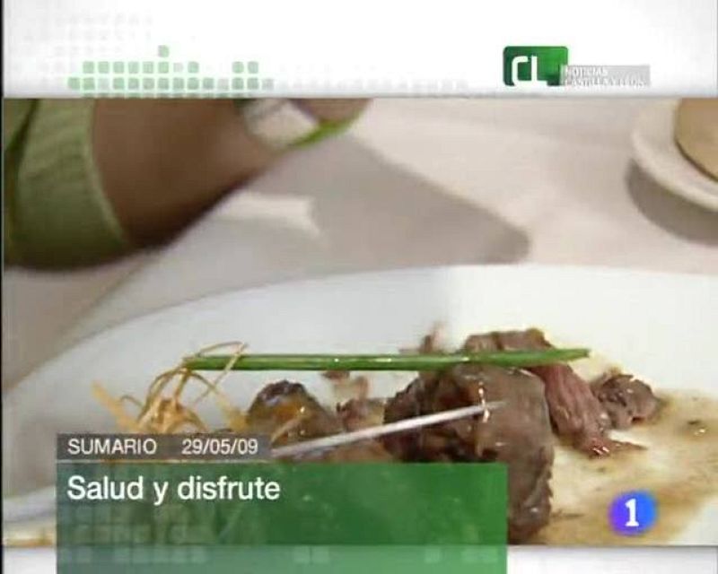  Castillay León noticias. Informativo de Castilla y León.(29/05/09)