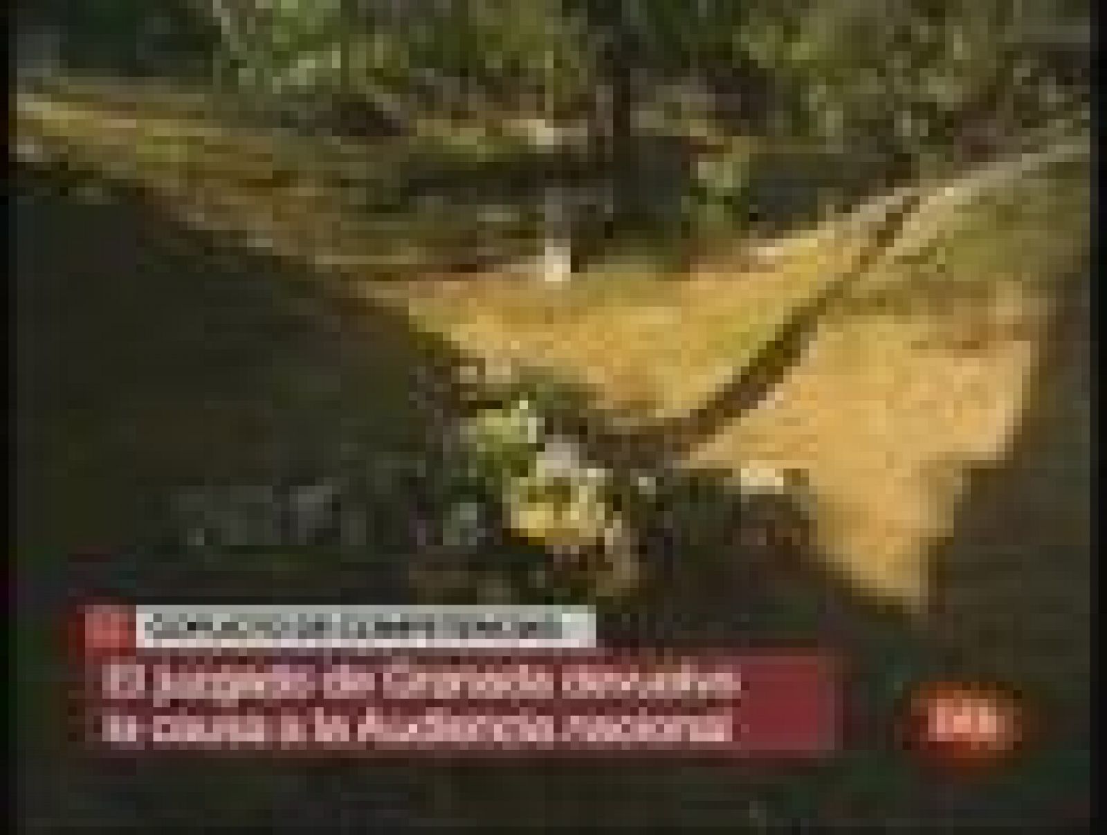 El juzgado número 3 de Granada se niega a abrir la fosa de Lorca | Ver