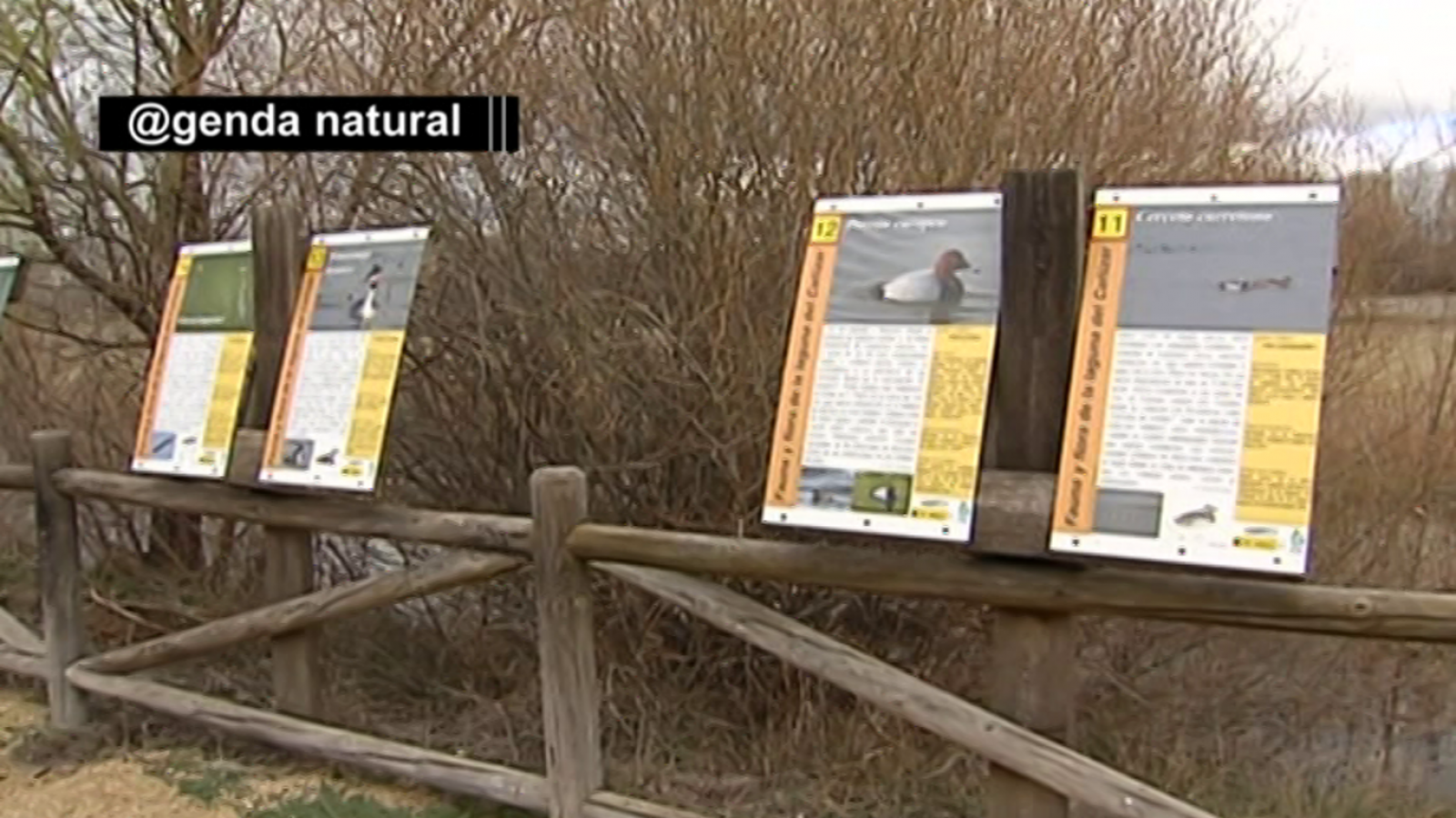 La aventura del saber - 22/04/19 - ver hora