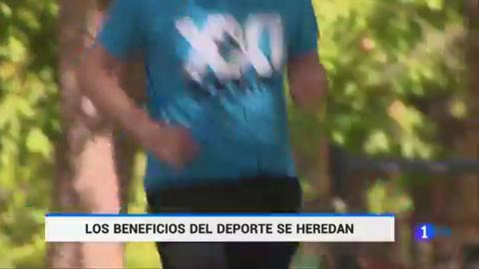 Ya se sabía que el deporte moderado es bueno para la salud y ahora un equipo del CSIC ha demostrado que ese beneficio es hereditario. Han comprobado que mejora el aprendizaje y la memoria en los ratones hijos de padres que hacen ejercicio.