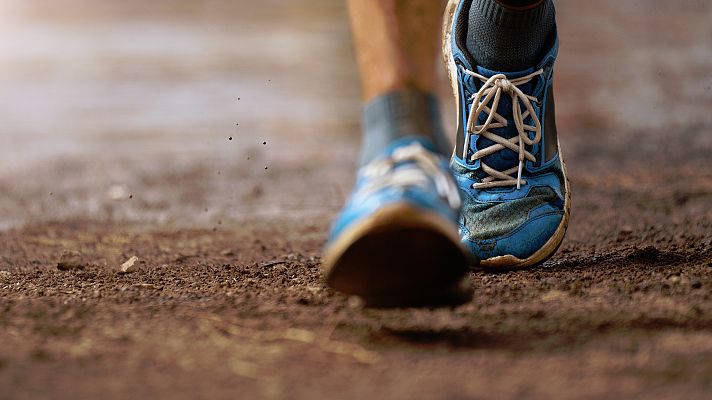 Telediario 1 - Un estudio revela que los beneficios cognitivos del ejercicio físico se heredan