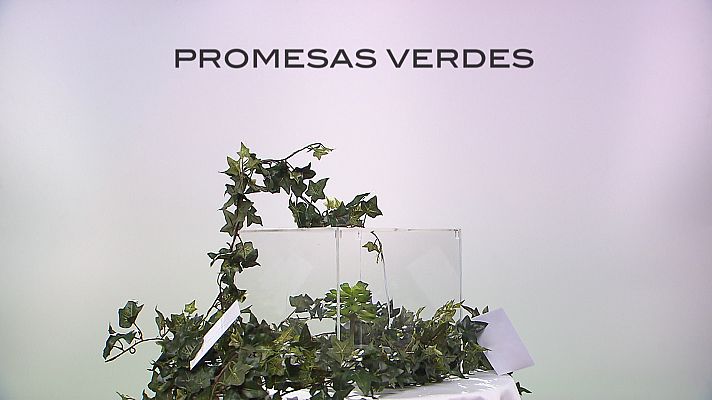 Promesas verdes - Avance