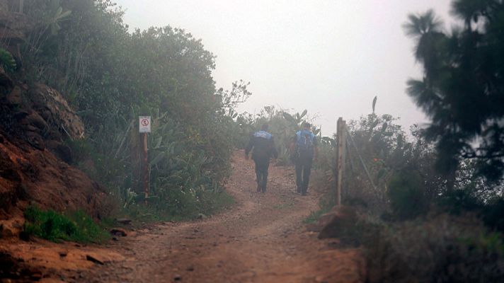 Telediario 1 - Telediario 2 en 4' - 24/04/19