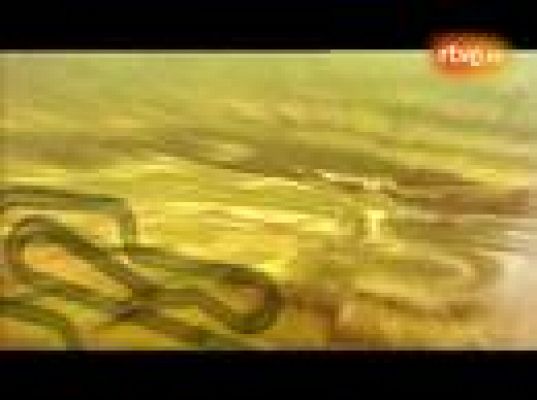  - Mugello, el jardín italiano