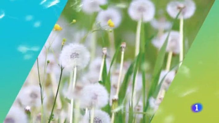 Telexornal - Galicia - El tiempo en Galicia - 25/04/19