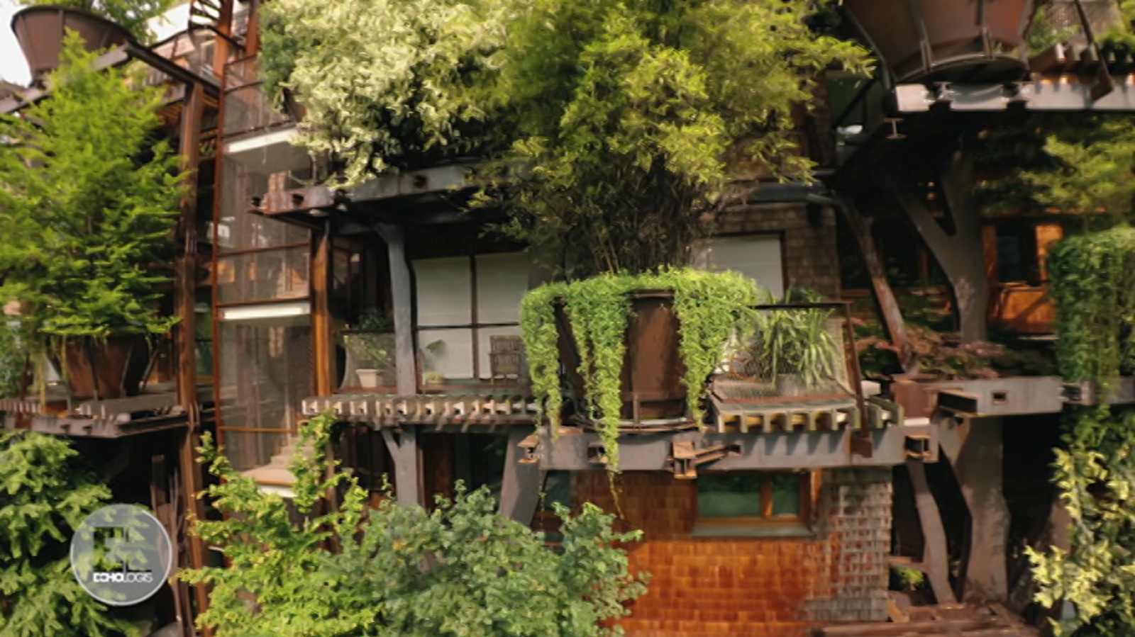 Otros documentales - Construcciones ecológicas: Naturaleza urbana - ver ahora