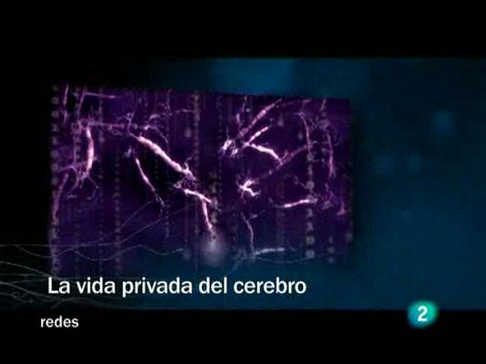 Redes - La vida privada del cerebro