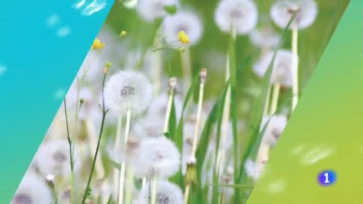 TeleCantabria - El tiempo en Cantabria - 26/04/19