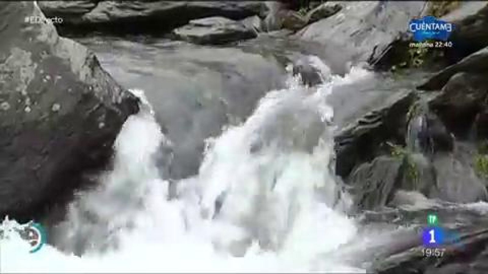 Rafting en Llavorsí (Lleida) | Ver