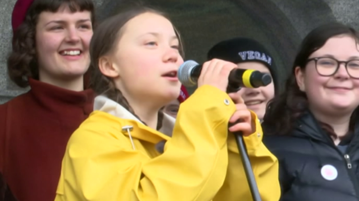 El escarabajo verde - Promesas verdes