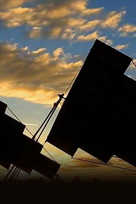 El escarabajo verde - Promesas verdes