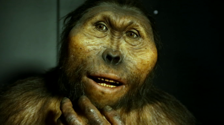 Arqueomanía - Origen I