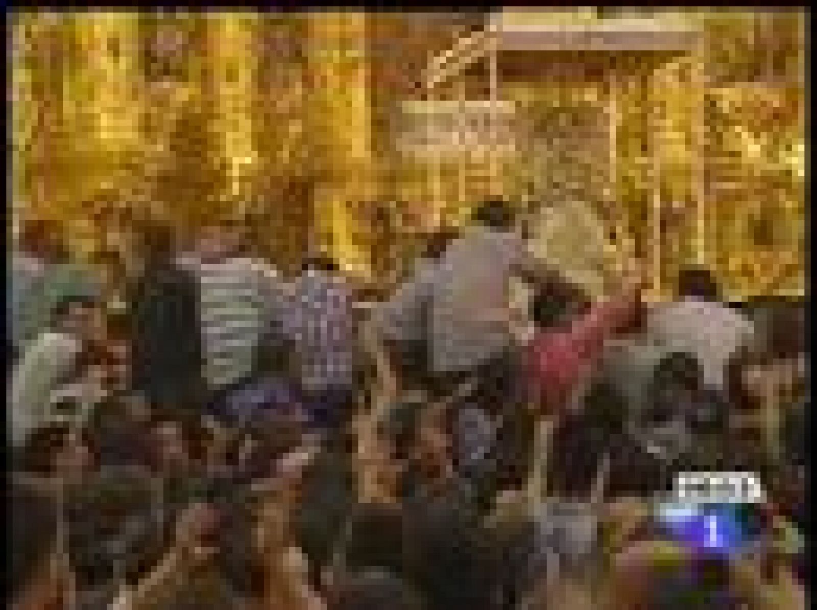 Los rocieros 'saltan la reja'