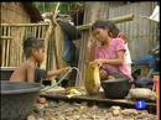  - Los efectos del cambio climático