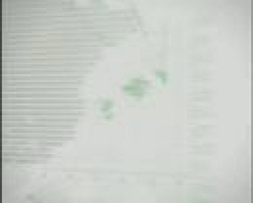 Informatiu Balear - Informatiu Balear - 01/06/09