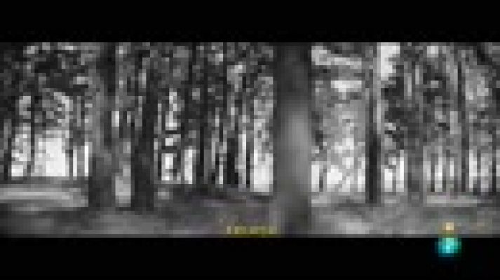 Días de cine - 'Leto'