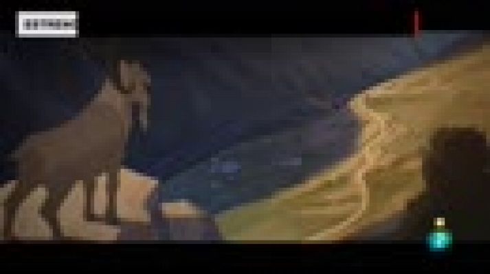 Días de cine - 'Buñuel en el laberinto de las tortugas'