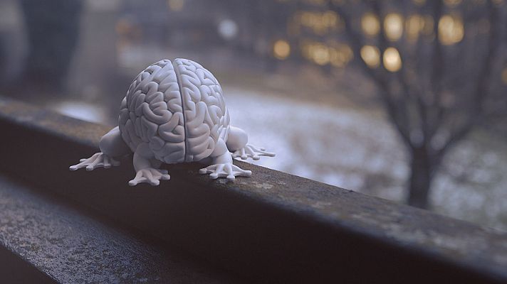 La noche temática - El poder del cerebro - Avance