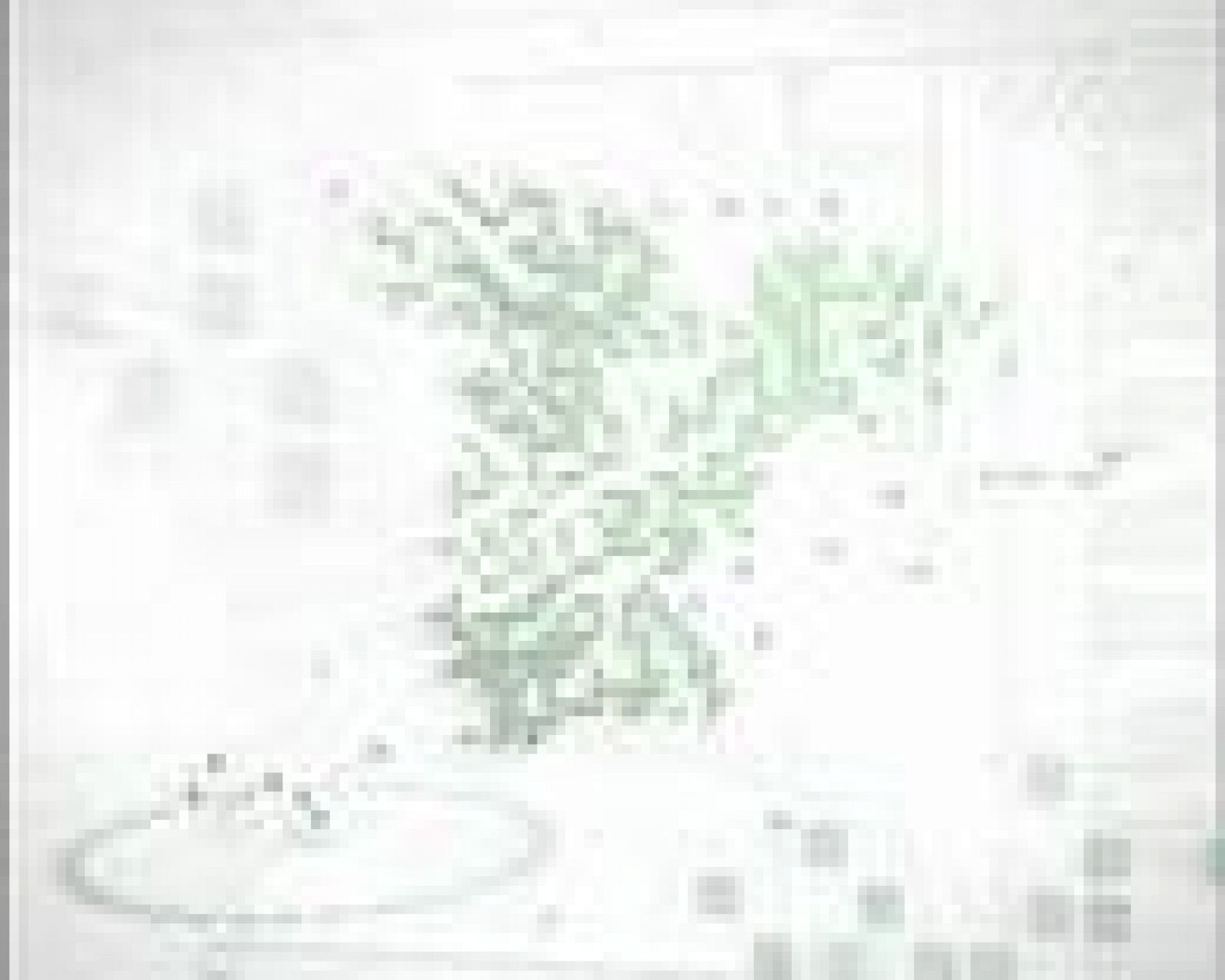 Noticias Murcia 01/06/2009