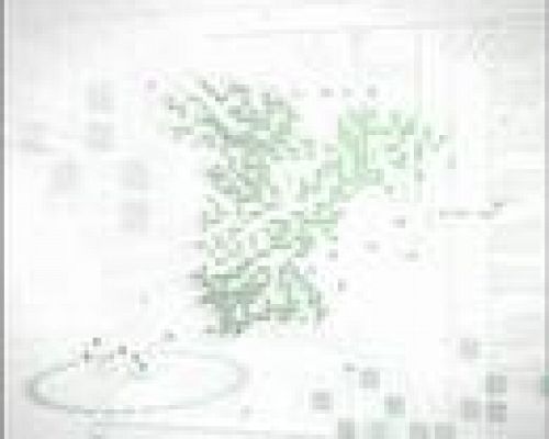 Noticias Murcia - Noticias Murcia - 01/06/09