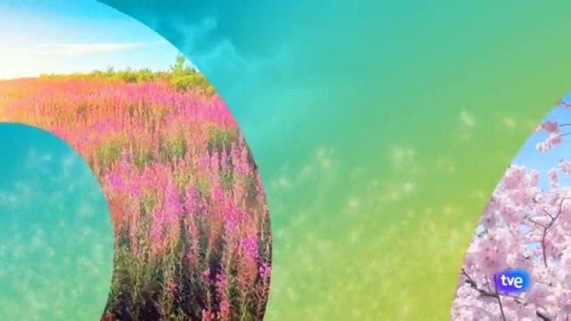 El tiempo en Galicia - 29/04/19