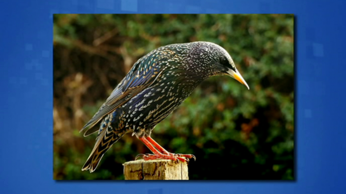 Saber y ganar - Saber y ganar - 29/04/19