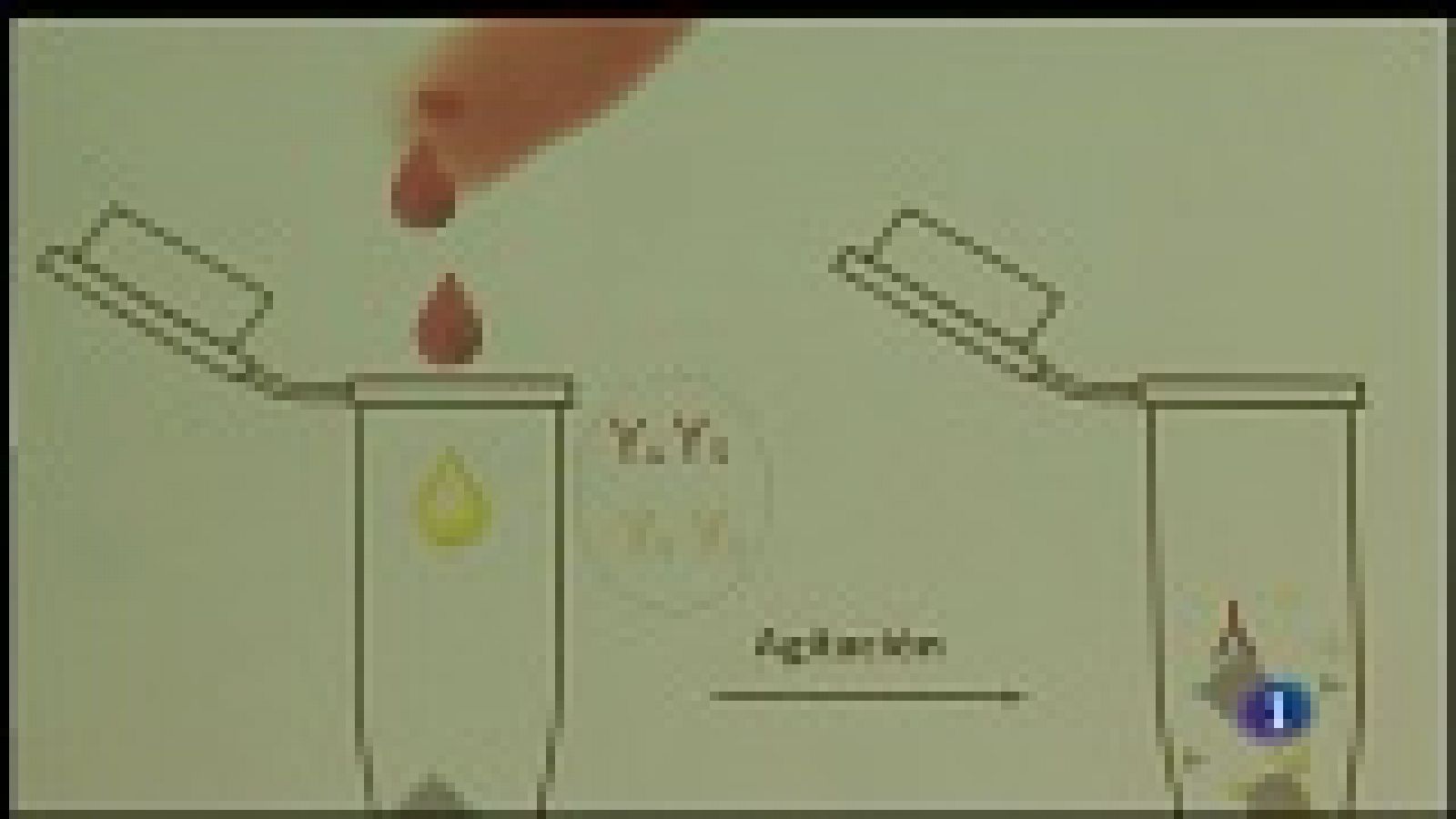 Panorama Regional 2 - 30/04/19 | Ver