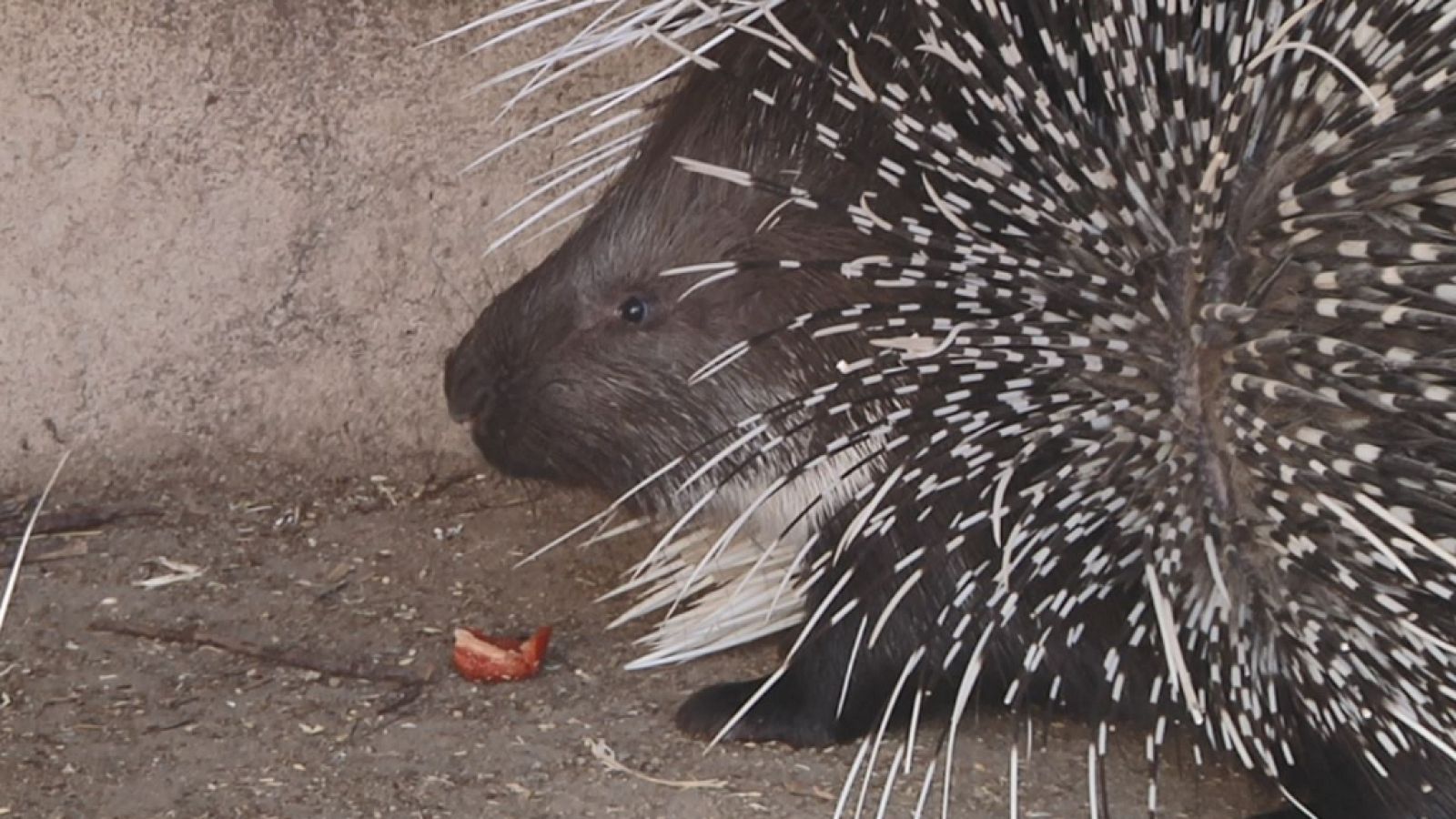 Aquí la Tierra - 30/04/19 - ver ahora