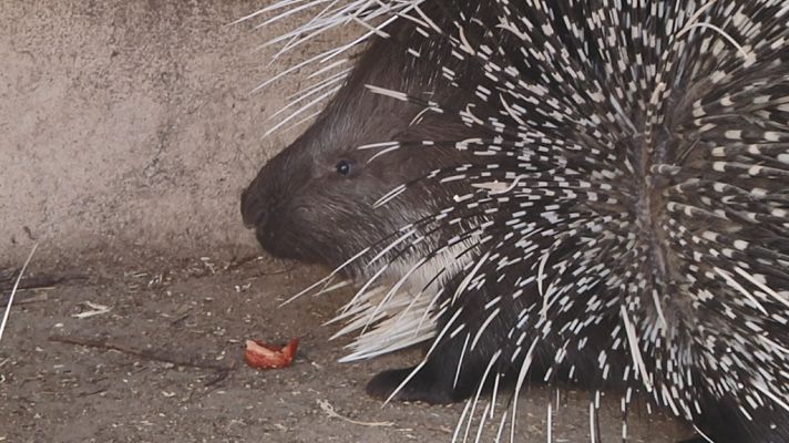 Aquí la Tierra - Aquí la Tierra - 30/04/19