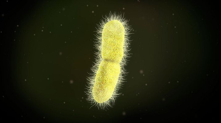 Telediario 1 - El problema de la resistencia a los antibióticos, particularmente alarmante en España