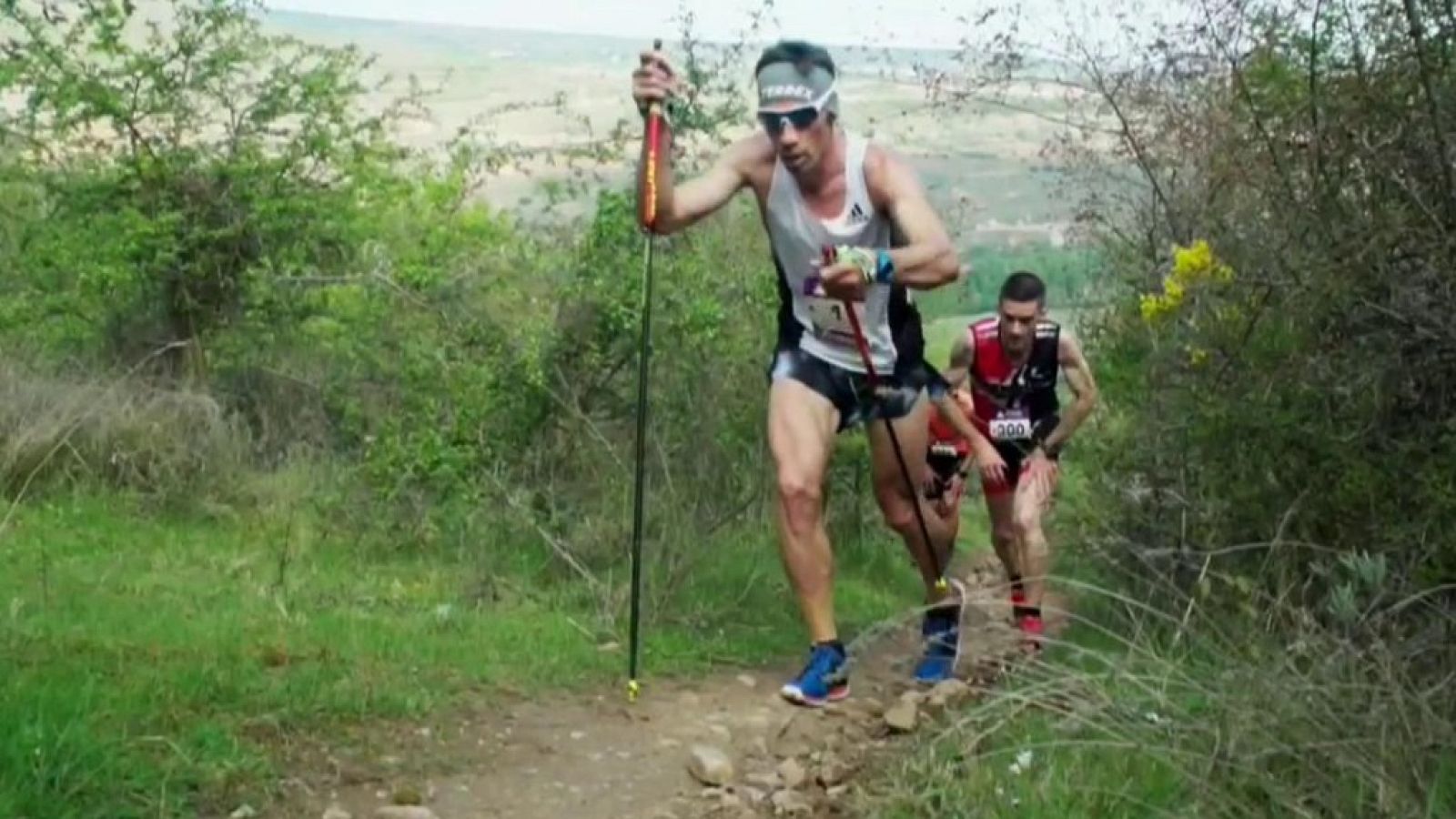 Trail Rioja Ultratrail 2019 - ver ahora